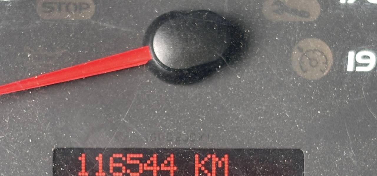 Van per Cavalli Theault Proteo 2015 Occasione