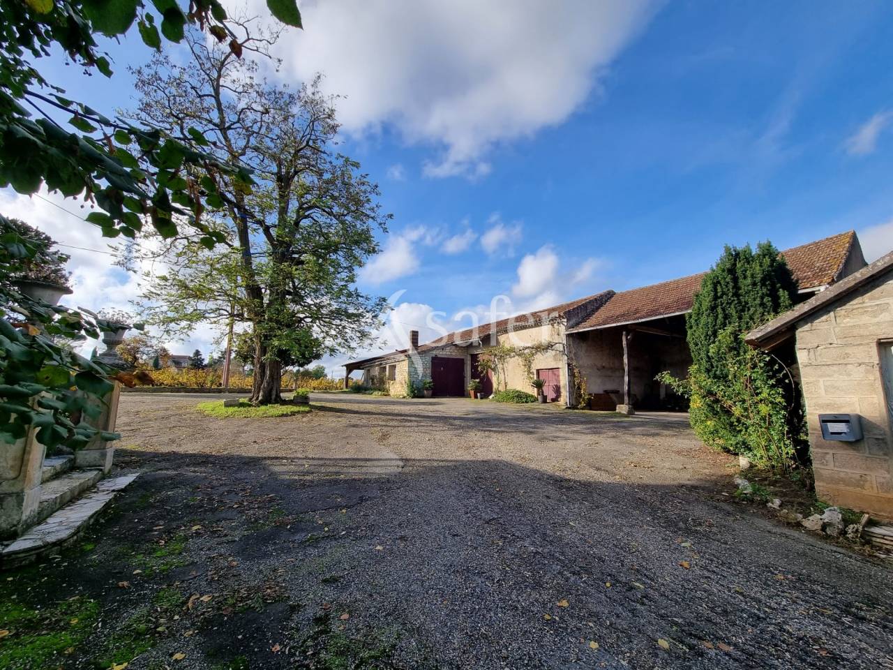 Azienda agricola In vendita Lot