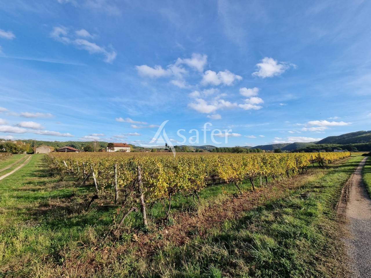 Azienda agricola In vendita Lot