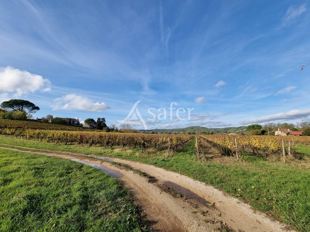 Azienda agricola In vendita Lot