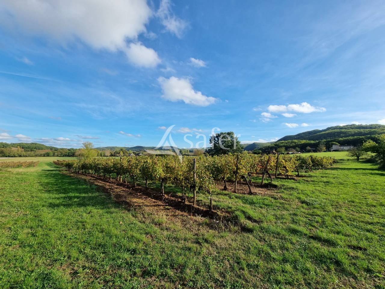 Azienda agricola In vendita Lot