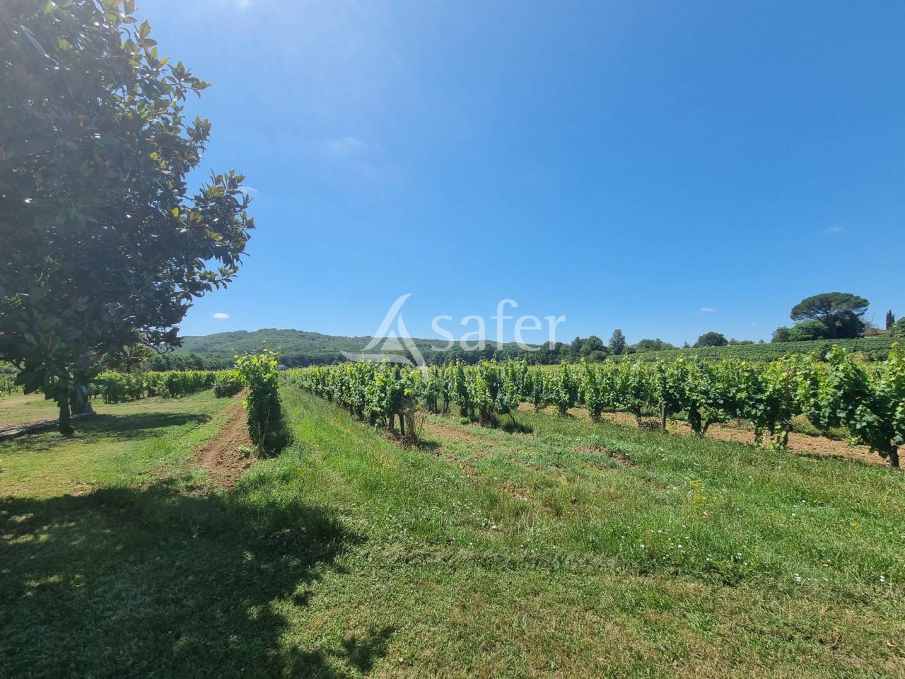 Azienda agricola In vendita Lot