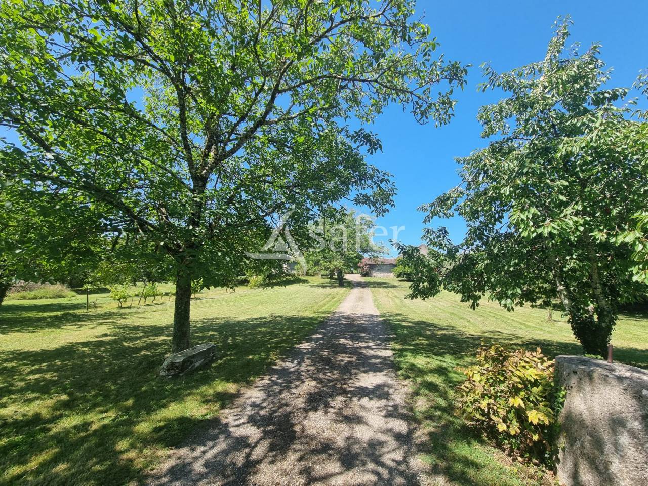 Azienda agricola In vendita Lot