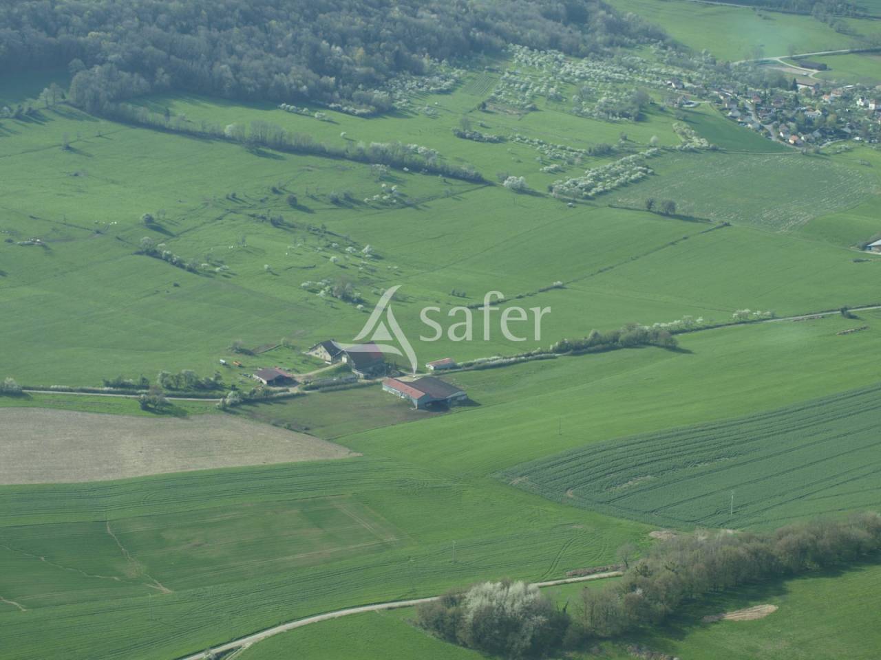 Azienda agricola In vendita Haute-Sa&ocirc;ne