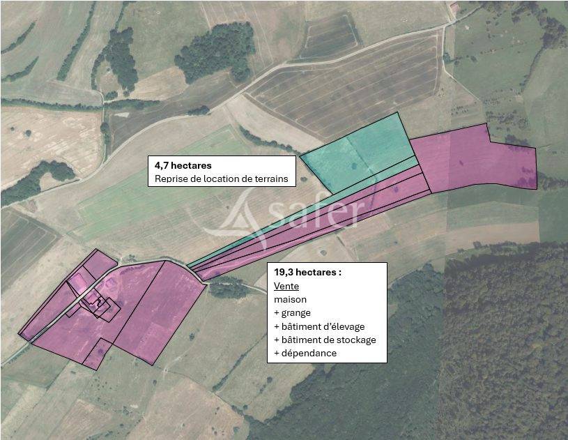 Azienda agricola In vendita Haute-Sa&ocirc;ne