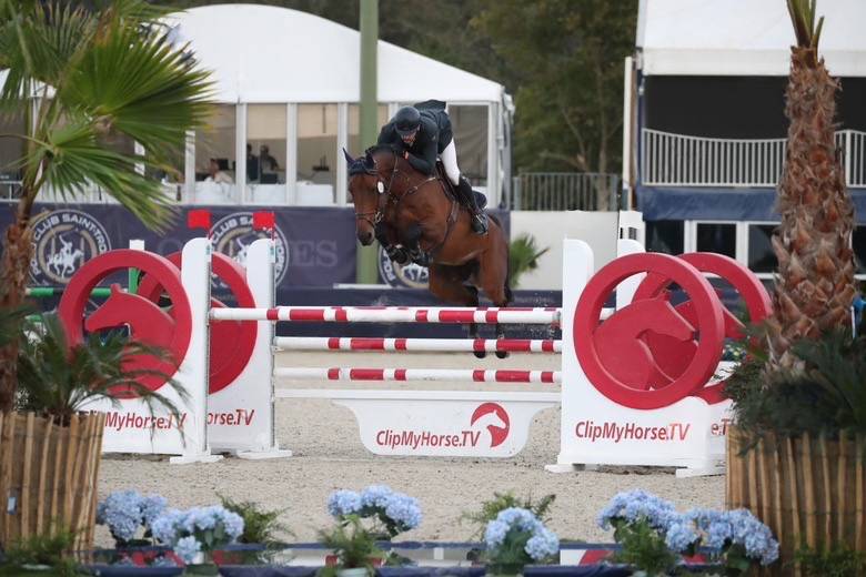 Castrone KWPN Cavallo da Sport Neerlandese In vendita 2018 Baio