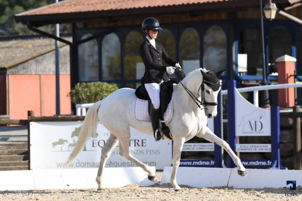 Cavalla Lusitano In vendita 2014 Bianco