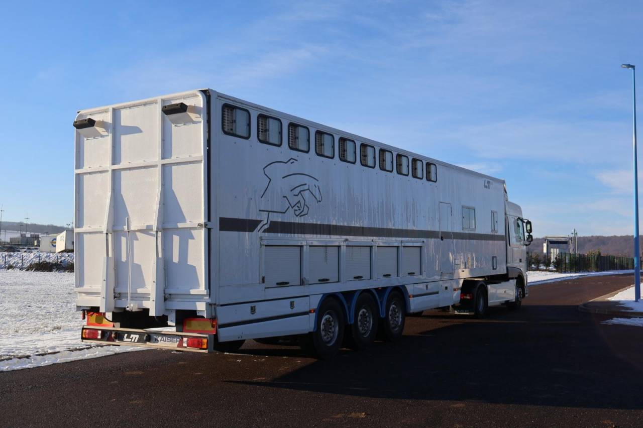 Camion per Cavalli Daf SEMI-REMORQUE 10P-APPARTEMENT 4P 2017 Occasione