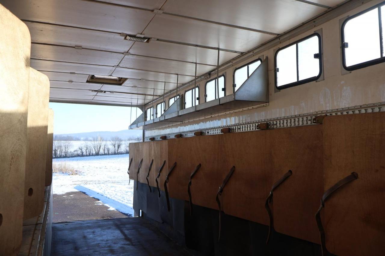 Camion per Cavalli Daf SEMI-REMORQUE 10P-APPARTEMENT 4P 2017 Occasione