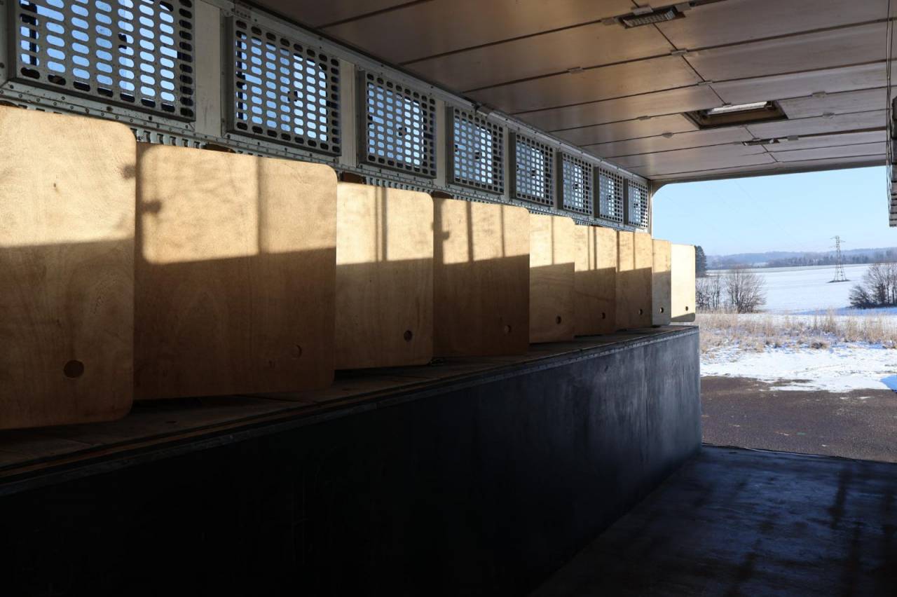 Camion per Cavalli Daf SEMI-REMORQUE 10P-APPARTEMENT 4P 2017 Occasione