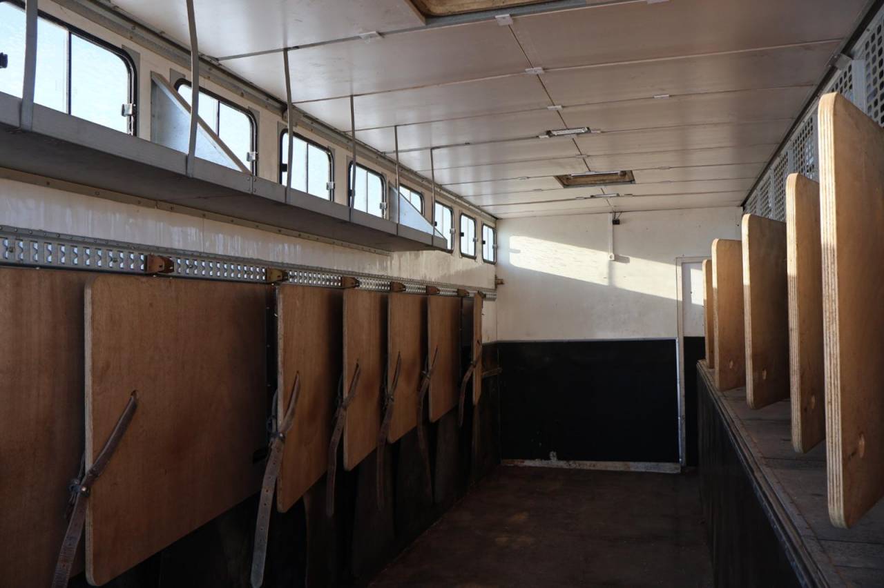 Camion per Cavalli Daf SEMI-REMORQUE 10P-APPARTEMENT 4P 2017 Occasione