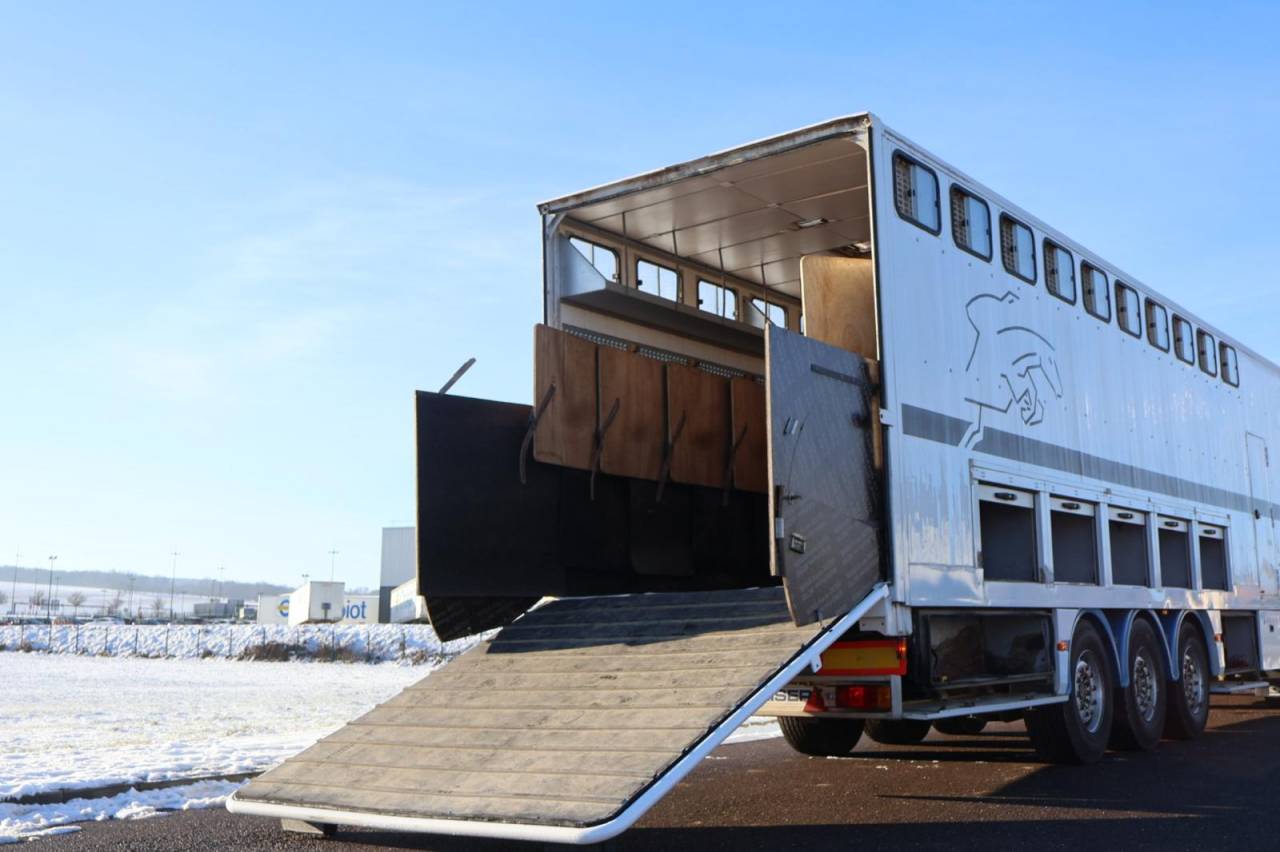 Camion per Cavalli Daf SEMI-REMORQUE 10P-APPARTEMENT 4P 2017 Occasione