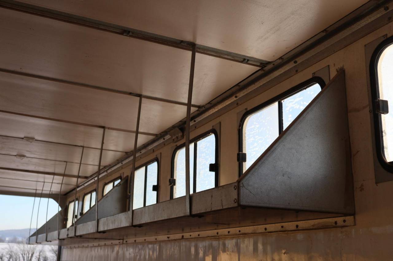 Camion per Cavalli Daf SEMI-REMORQUE 10P-APPARTEMENT 4P 2017 Occasione