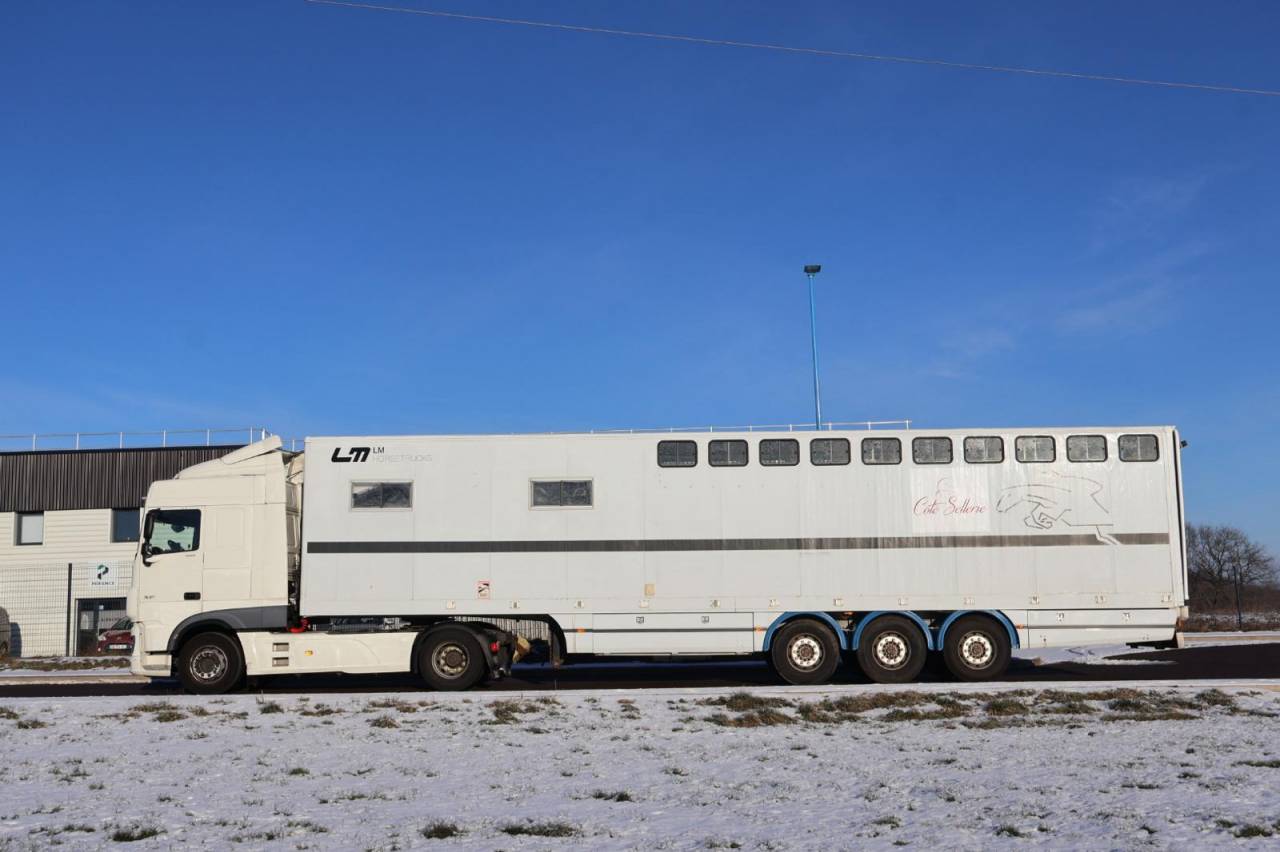 Camion per Cavalli Daf SEMI-REMORQUE 10P-APPARTEMENT 4P 2017 Occasione