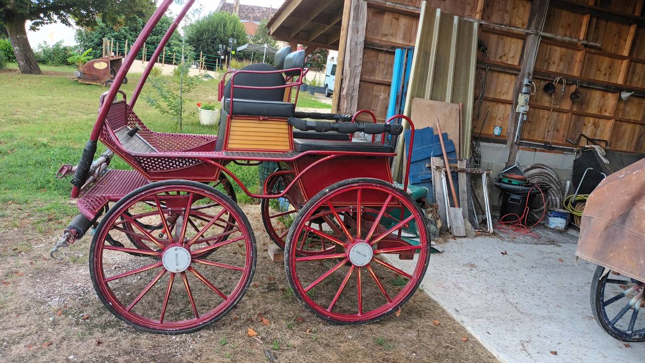 Attacchi - Marathon ricreazione XX Trail SEMI MARATHON 