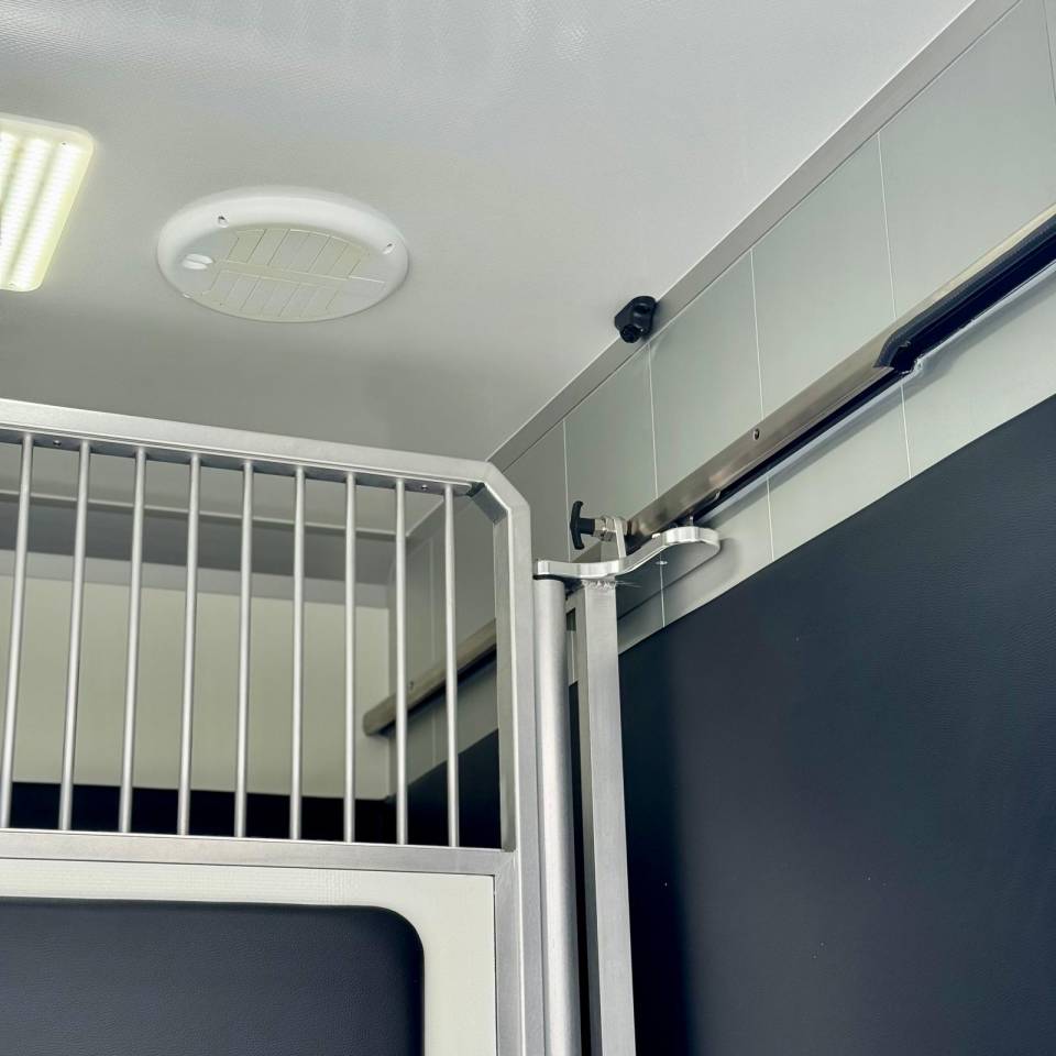 Van per Cavalli AKX CONCEPTPGO 5  2026 Nuovo