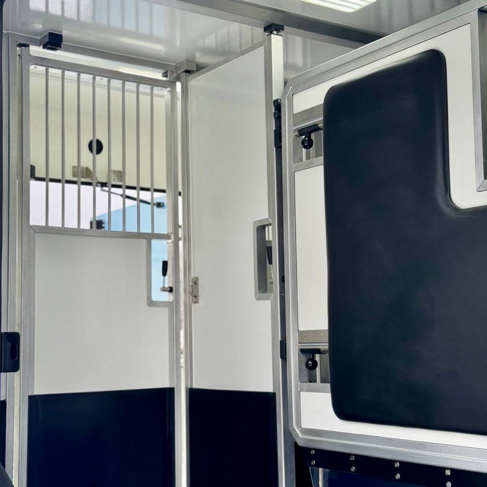 Van per Cavalli AKX CONCEPTPGO 5  2026 Nuovo