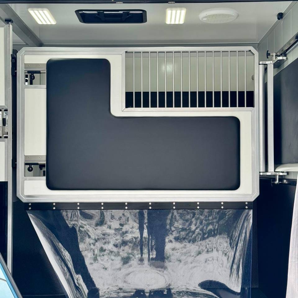 Van per Cavalli AKX CONCEPTPGO 5  2026 Nuovo