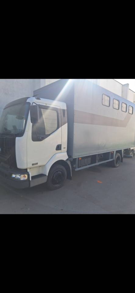Camion per Cavalli Renault Midlum  2004 Occasione