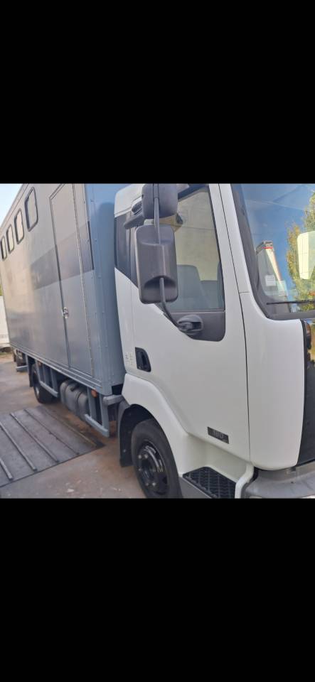 Camion per Cavalli Renault Midlum  2004 Occasione