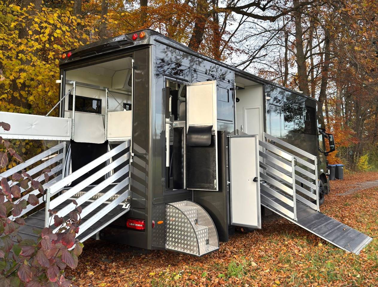 Camion per Cavalli Man MAN 0 Nuovo