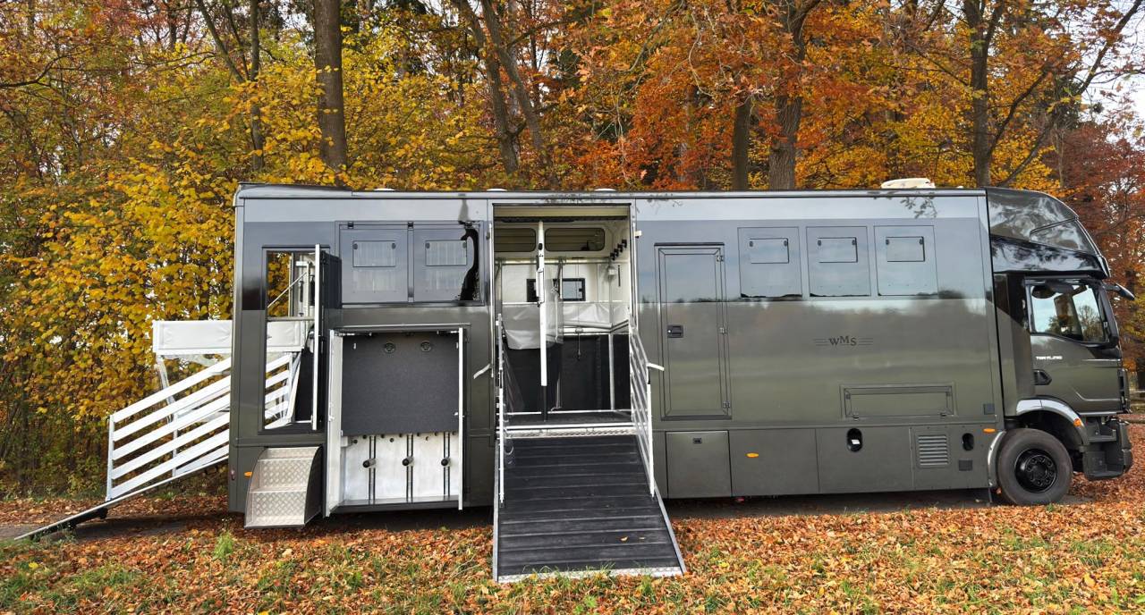 Camion per Cavalli Man MAN 0 Nuovo