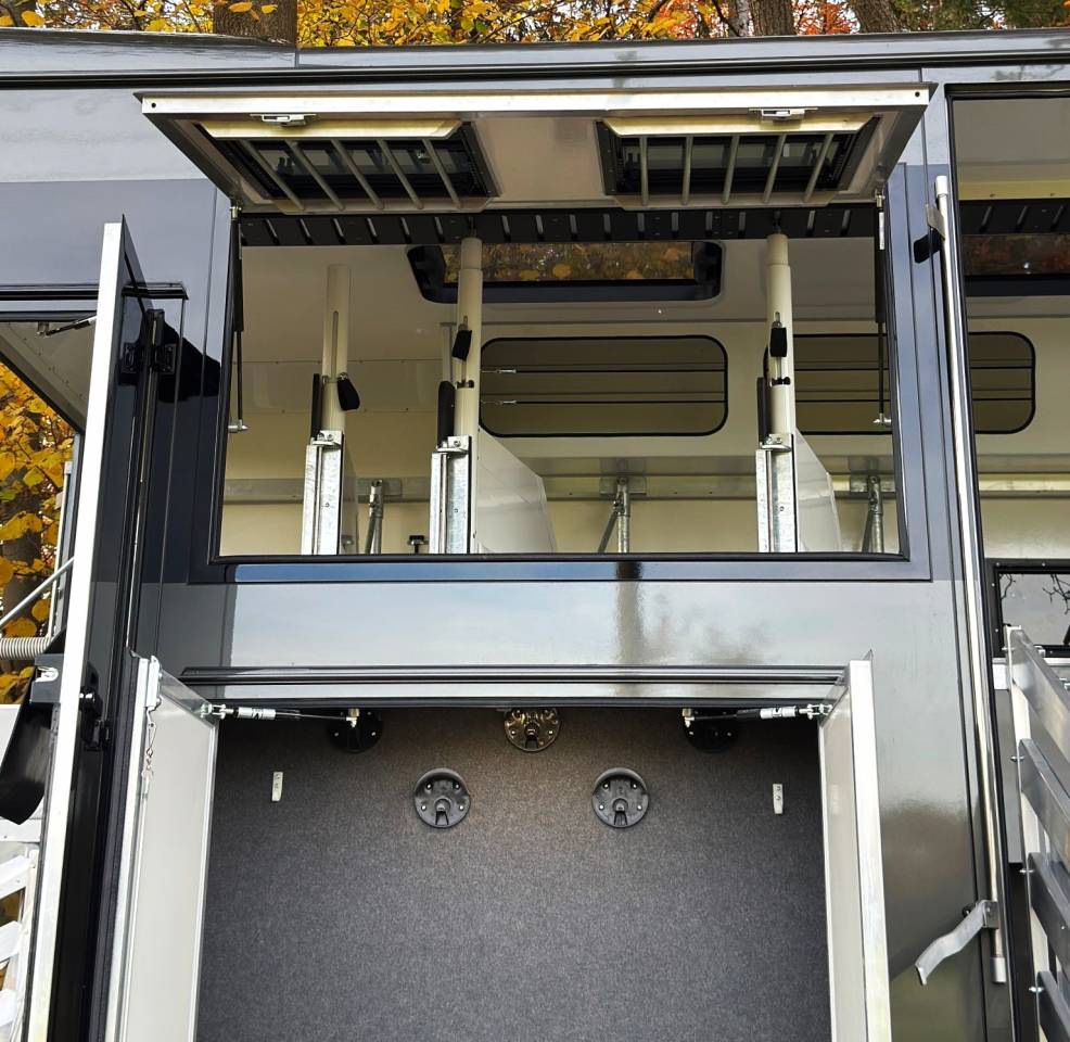 Camion per Cavalli Man MAN 0 Nuovo