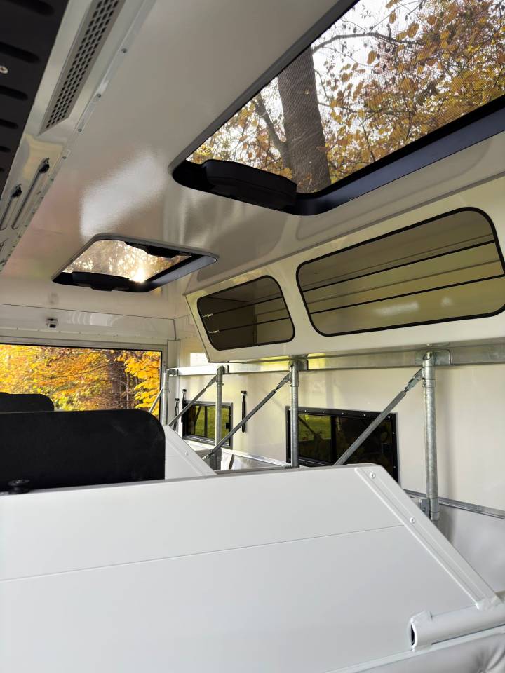 Camion per Cavalli Man MAN 0 Nuovo