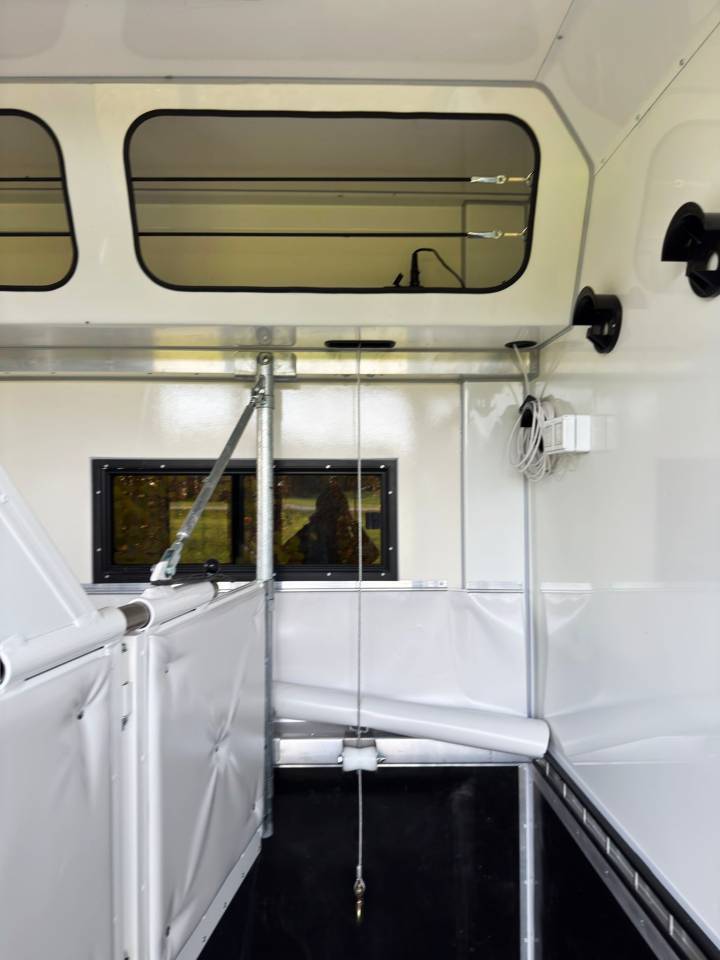 Camion per Cavalli Man MAN 0 Nuovo