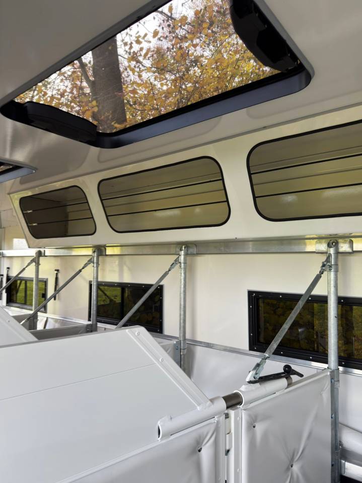 Camion per Cavalli Man MAN 0 Nuovo