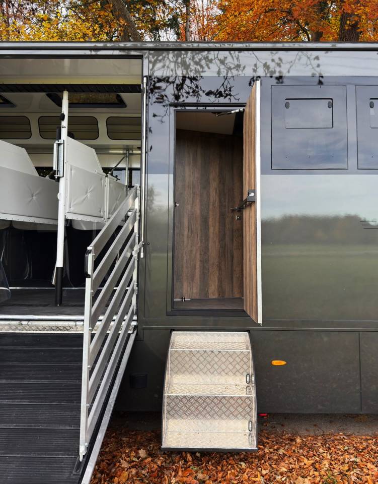 Camion per Cavalli Man MAN 0 Nuovo