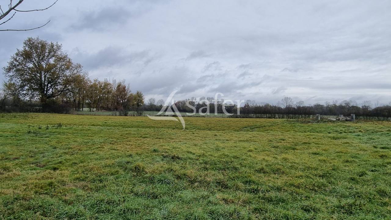 Propriet&agrave; rurale In vendita tarn