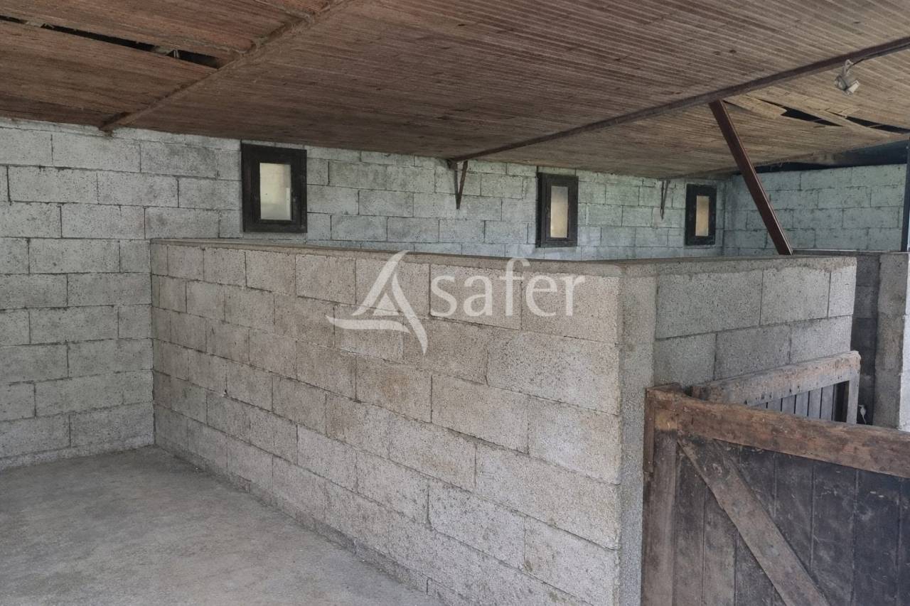 Propriet&agrave; rurale In vendita tarn