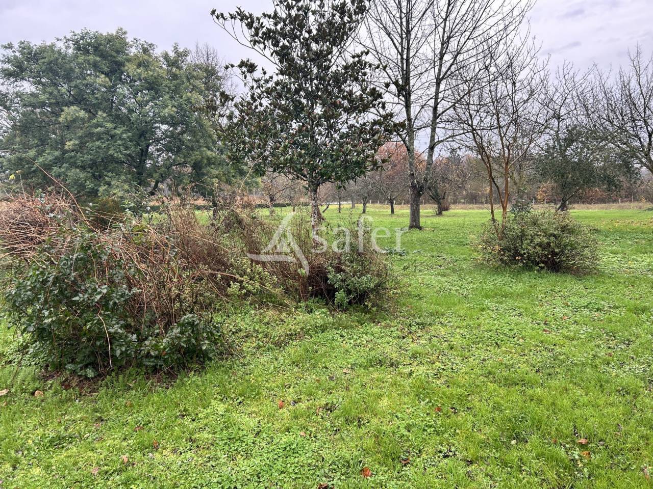 Azienda orticoltrice In vendita Lot-et-Garonne