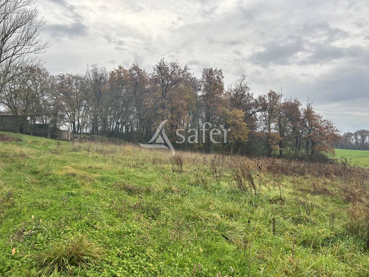 Azienda orticoltrice In vendita Lot-et-Garonne