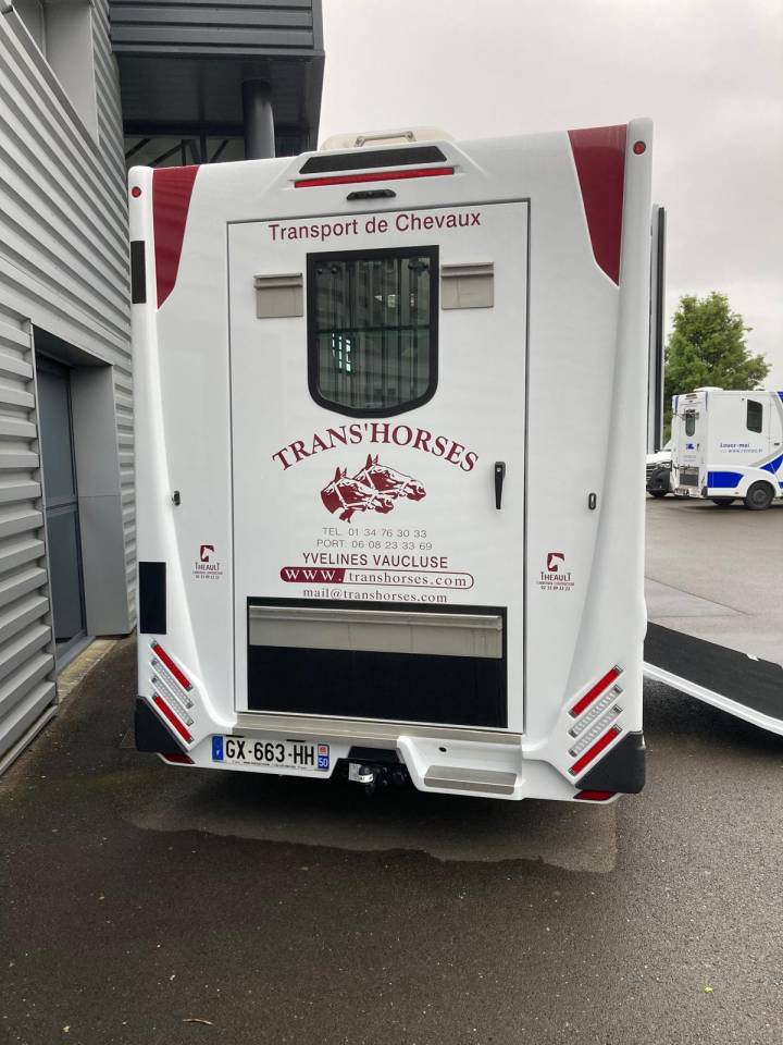 Van per Cavalli Renault CAMION THEAULT 2024 Occasione