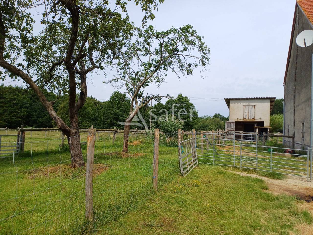 Azienda ovina In vendita Dordogne