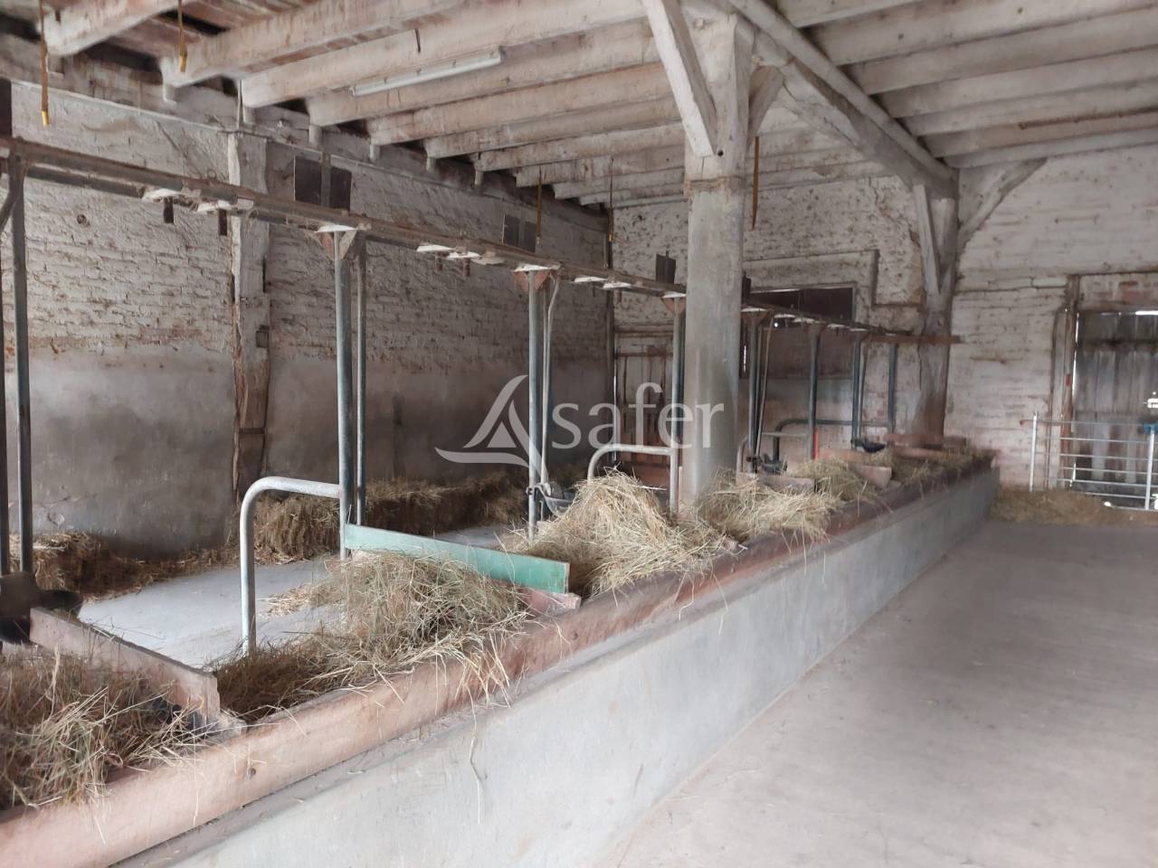 Azienda ovina In vendita Dordogne