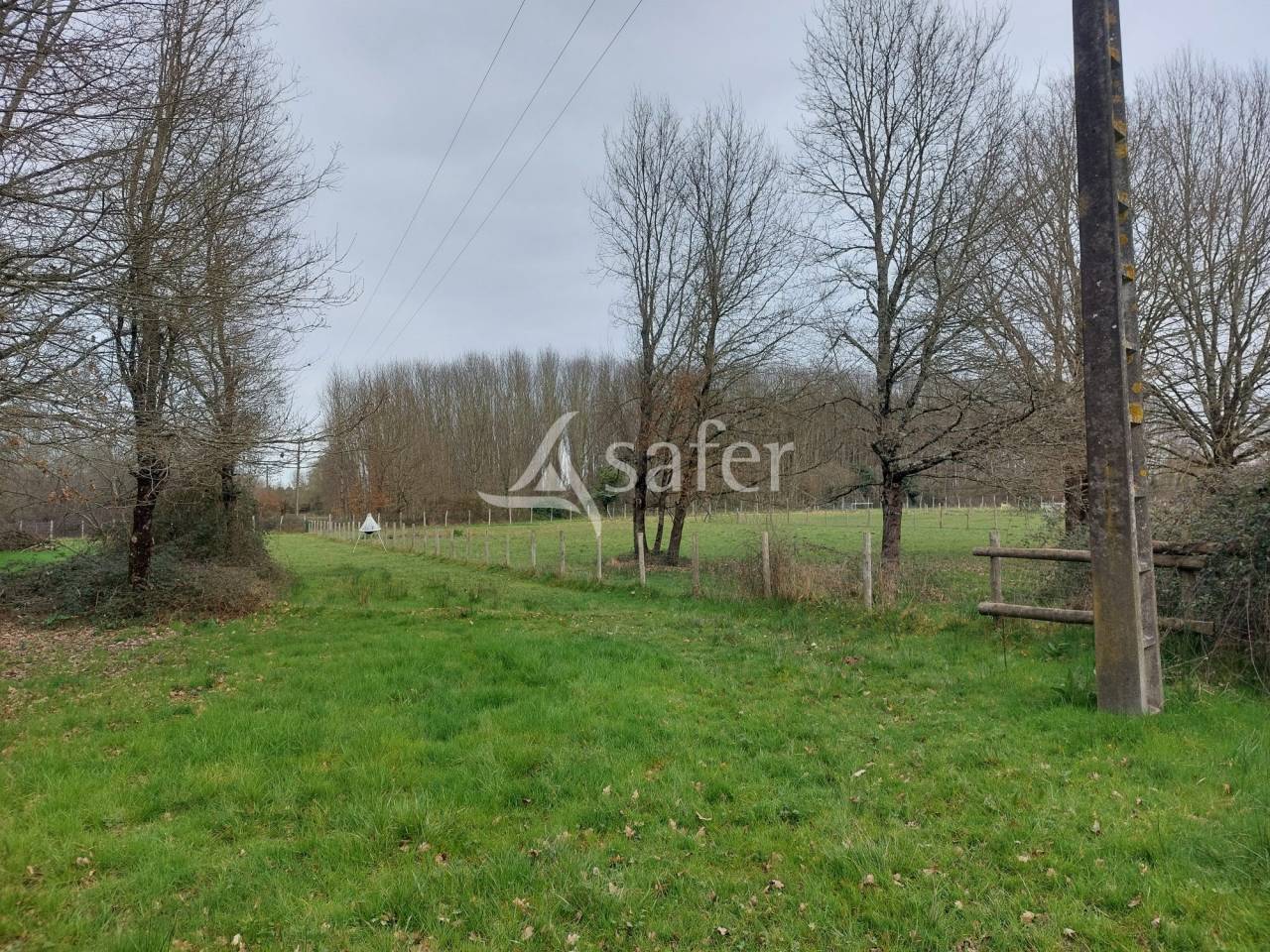 Azienda ovina In vendita Dordogne