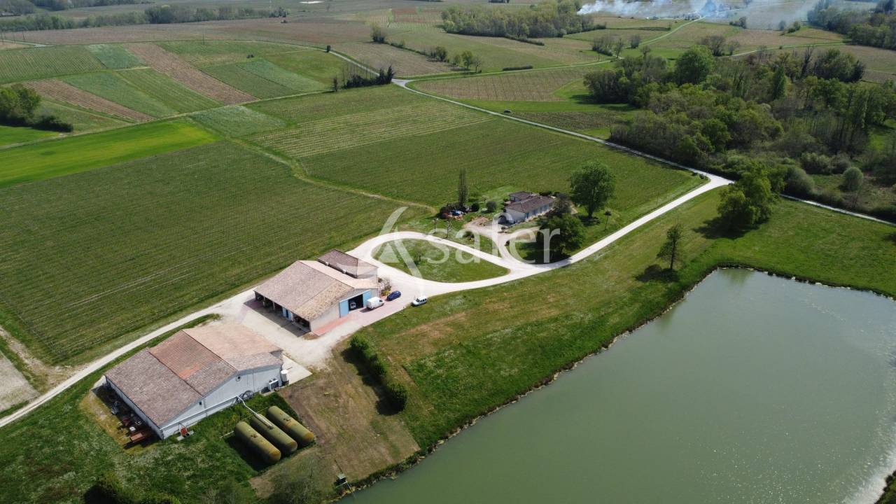 Azienda agricola In vendita Gironde