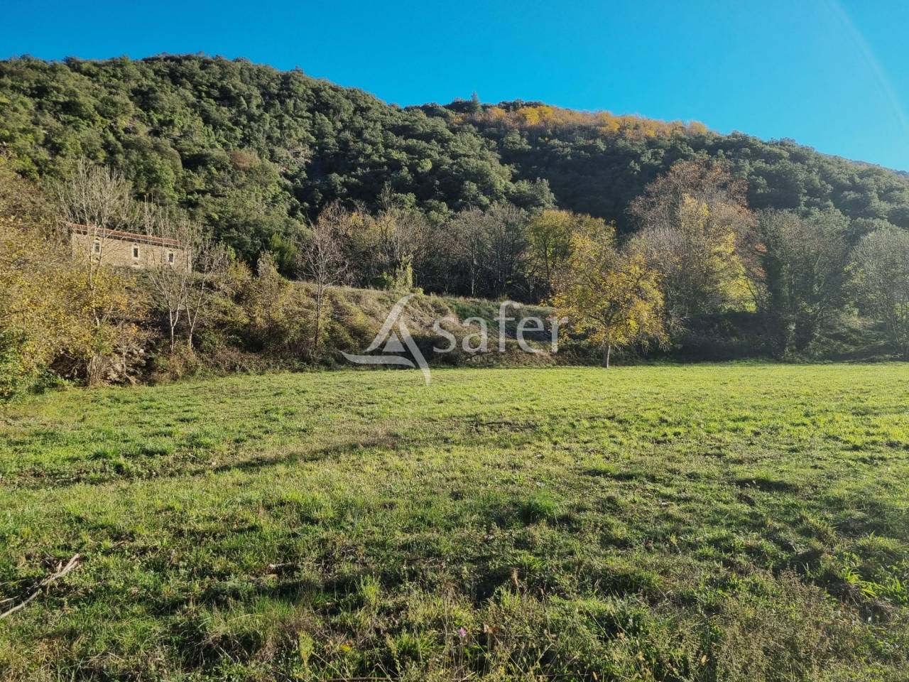 Azienda forestale In vendita Gard