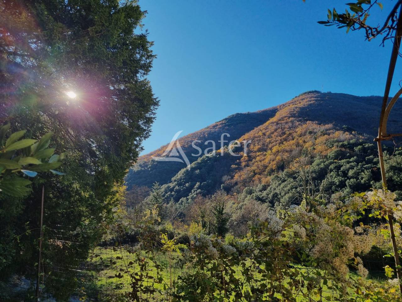 Azienda forestale In vendita Gard