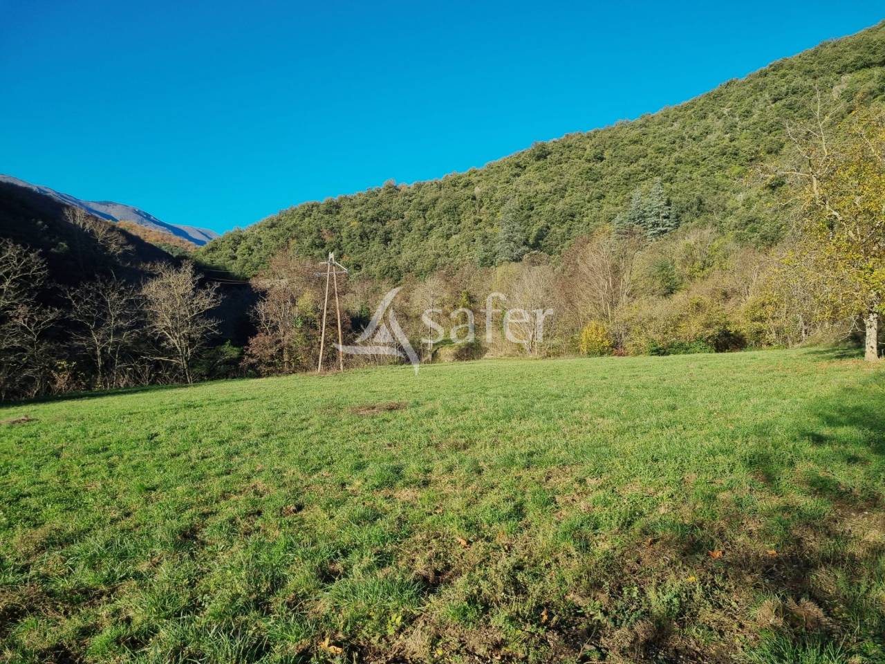 Azienda forestale In vendita Gard