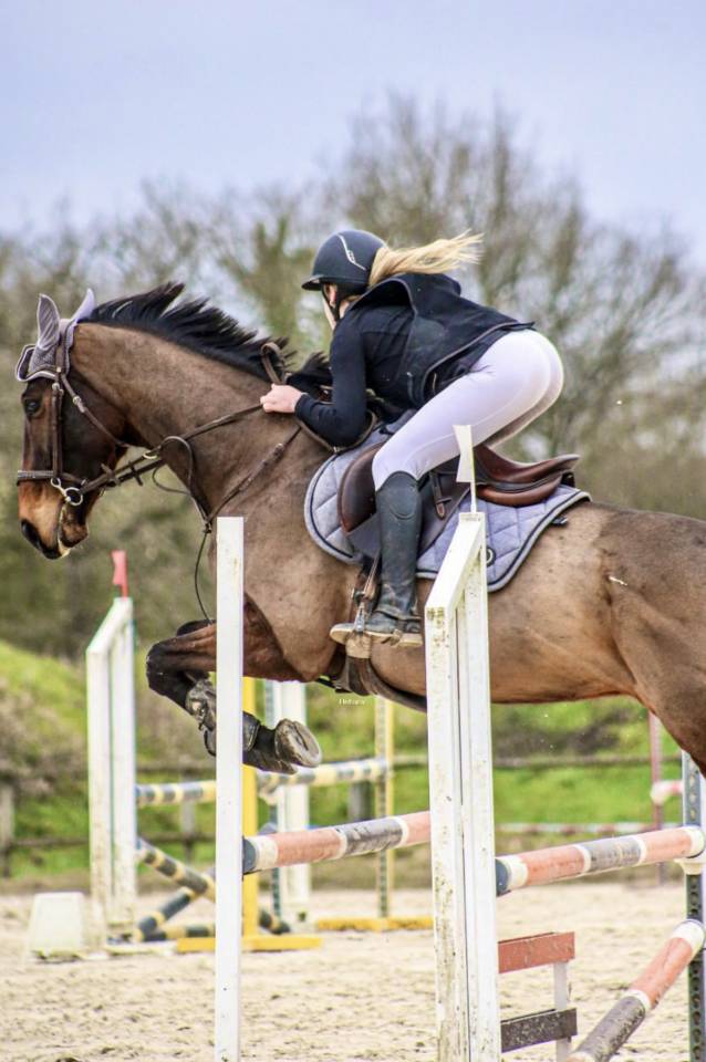 Castrone Purosangue In vendita 2018 Baio