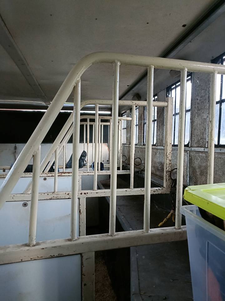 VAN VOLVO 5 cavalli + living