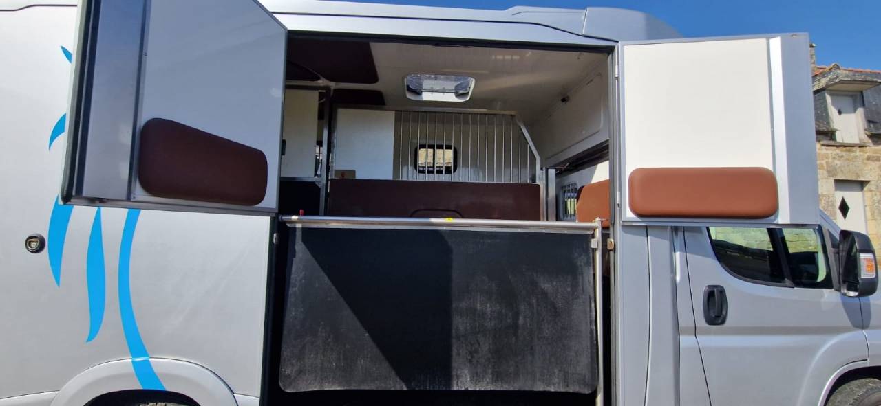 Van per Cavalli Fiat  Ducato 2018 Occasione