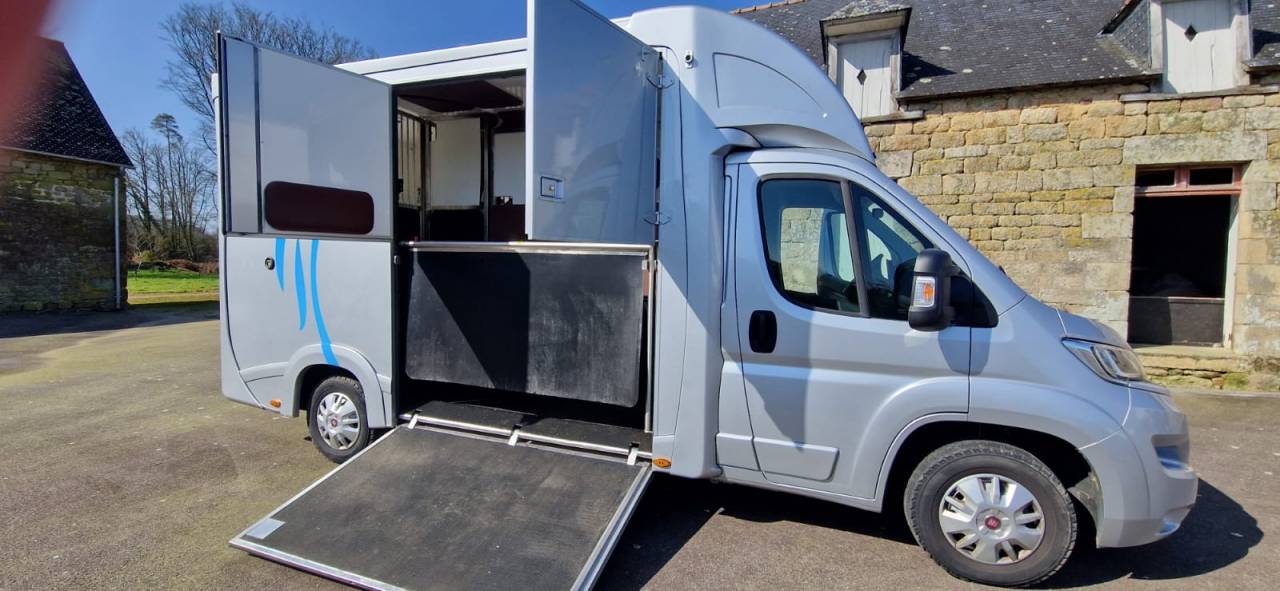 Van per Cavalli Fiat  Ducato 2018 Occasione