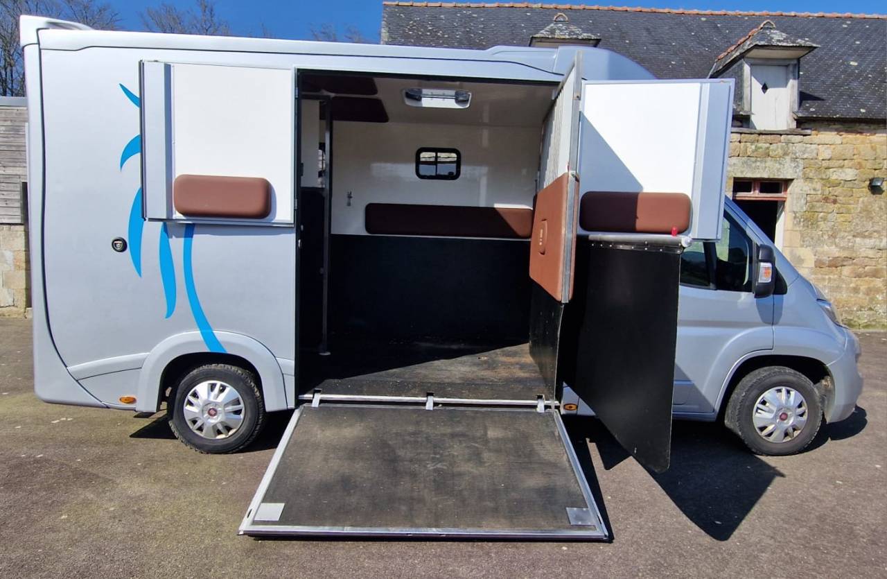 Van per Cavalli Fiat  Ducato 2018 Occasione