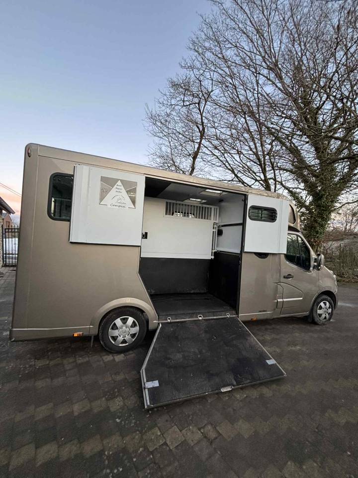 Van per Cavalli Theault THEAULT 2018 Occasione