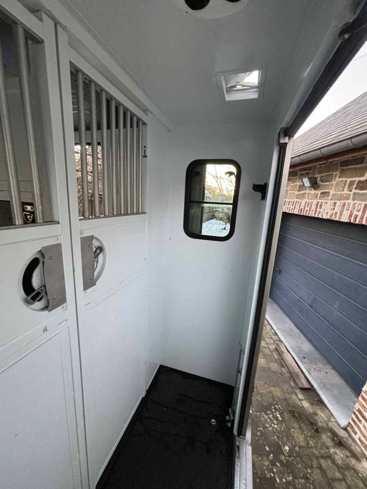 Van per Cavalli Theault THEAULT 2018 Occasione